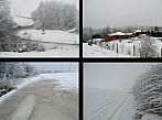 Borovina