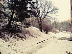Borovina