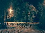 Borovina
