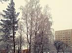 Borovina