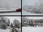 Borovina