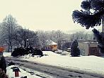 Borovina