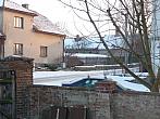 Třibřichy