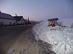 Třibřichy