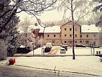 Borovina
