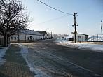 Třibřichy