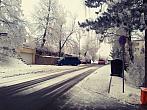 Borovina