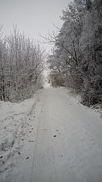 Třebíč-Týn