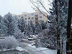 Borovina