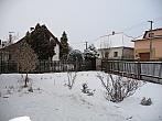 Třibřichy