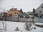 Třibřichy