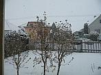 Třibřichy