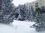 Borovina