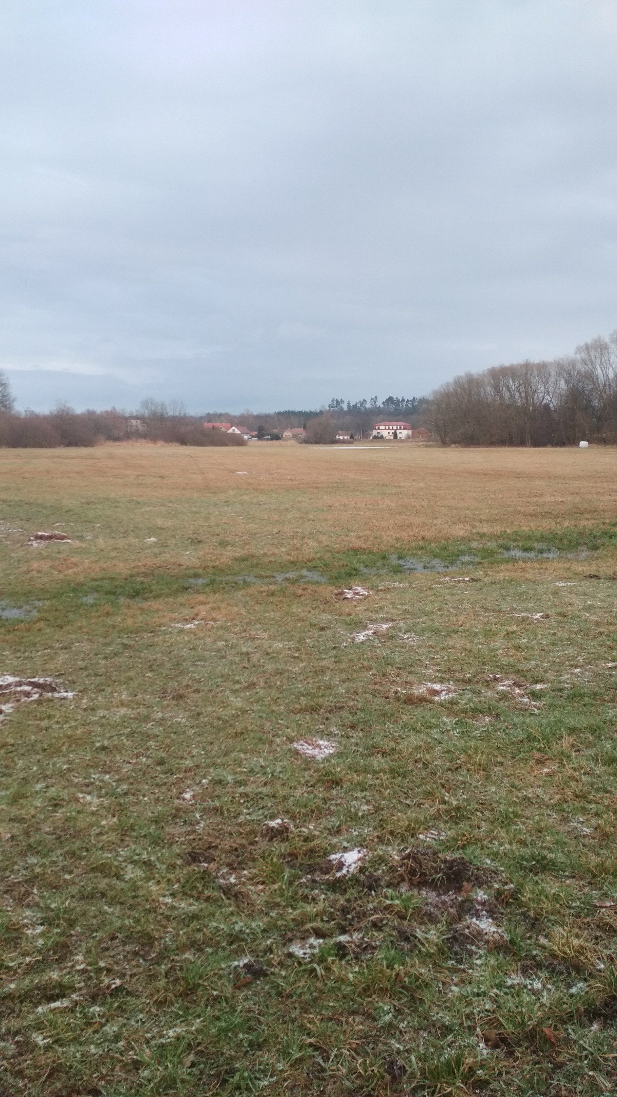 Podlazice
