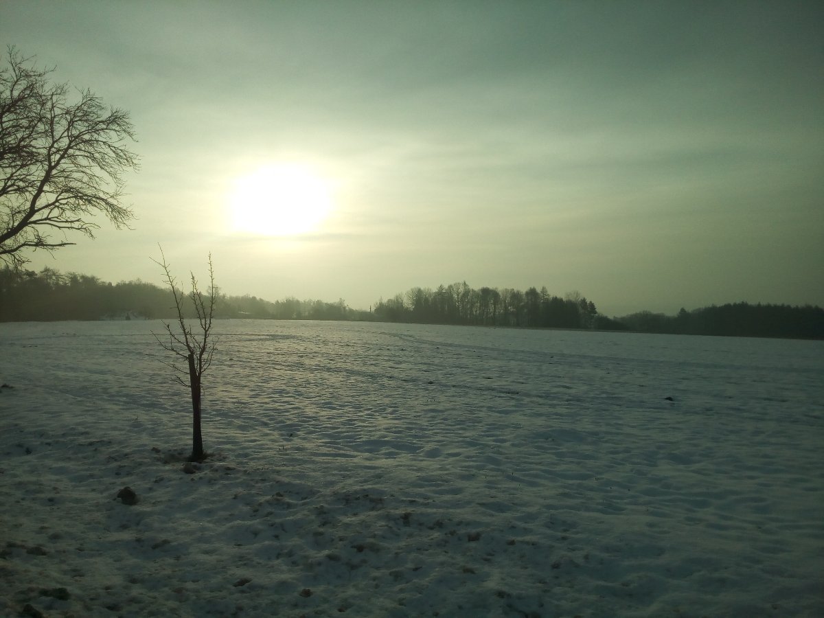 Boháňka