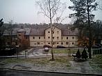 Borovina