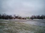 Borovina
