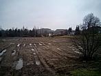 Borovina