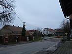 Třibřichy