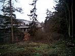 Borovina