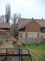 Třibřichy