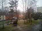 Borovina