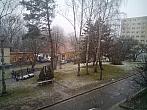 Borovina