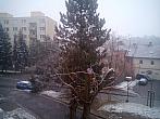 Borovina