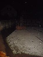 Třibřichy