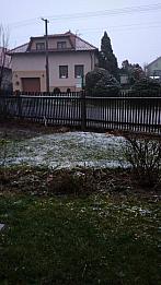 Třibřichy