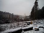 Borovina