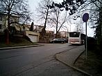 Borovina