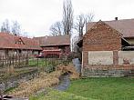 Třibřichy