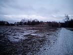 Borovina