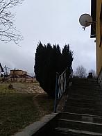 Skalité