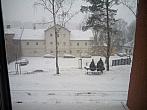 Borovina