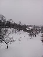 Hvozdnica