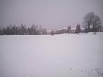 Borovina