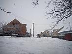 Borovina
