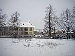 Borovina