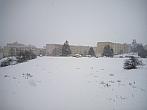 Borovina