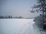Borovina