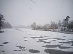 Borovina