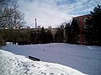 Borovina