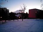 Borovina