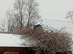 Vítkov