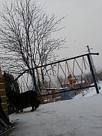 Skalité