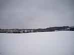 Borovina