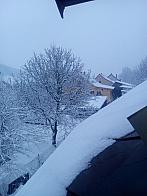 Hvozdnica