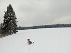 Vítkov